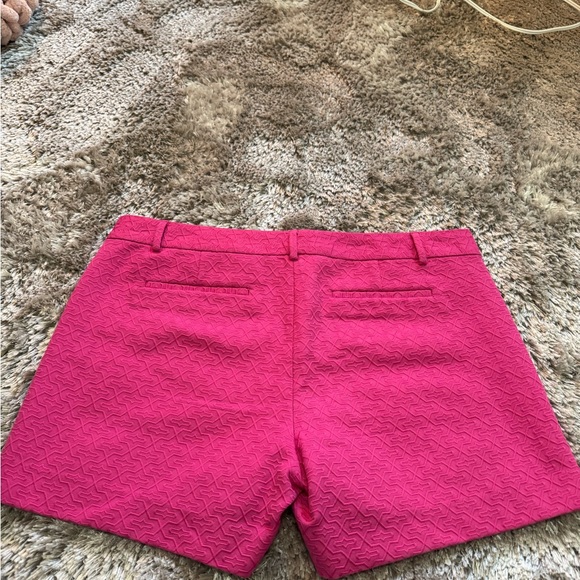 Banana Republic Fuchsia Textured Fabric Shorts NWOT. - Picture 3 of 7